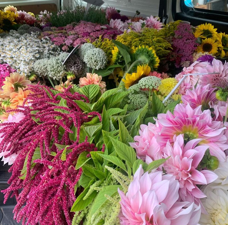 Cut Flower Bunch