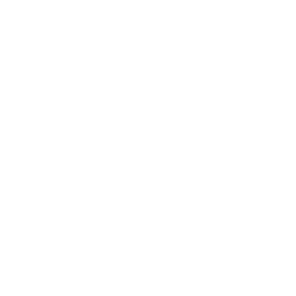 The Ayurveda Shop
