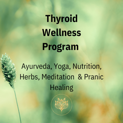 Thyroid Wellness Program