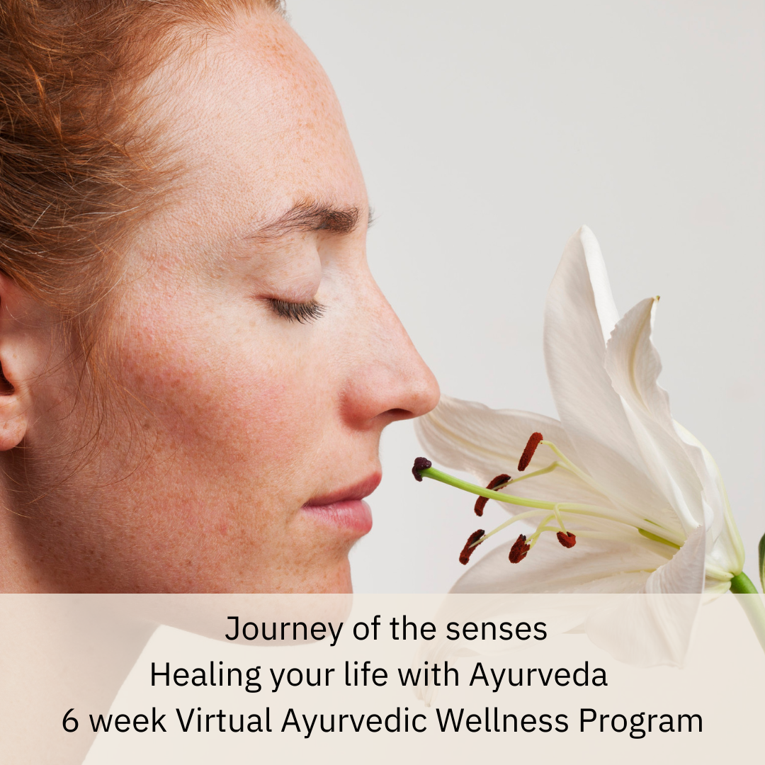 Journey of the senses | Virtual Ayurvedic Wellness Program