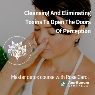 12 oktober- Master Detox Course Shaka Vansya Ayurveda | Early Bird € 395 met Rose Carol 12 oktober- Master Detox Course Shaka Vansya Ayurveda | Early Bird € 395 met Rose Carol