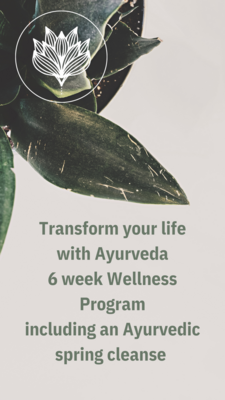 27 March | Transform you life with Ayurveda | 6 week virtual course
