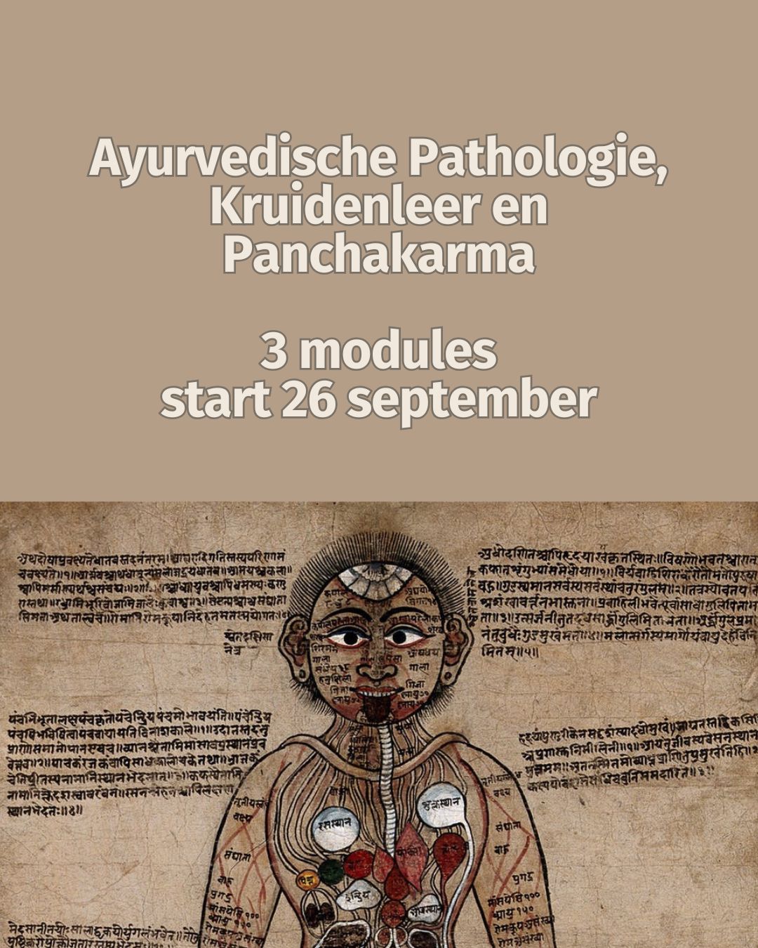 Ayurvedisch Pathologie, Kruidenleer en Panchakarma