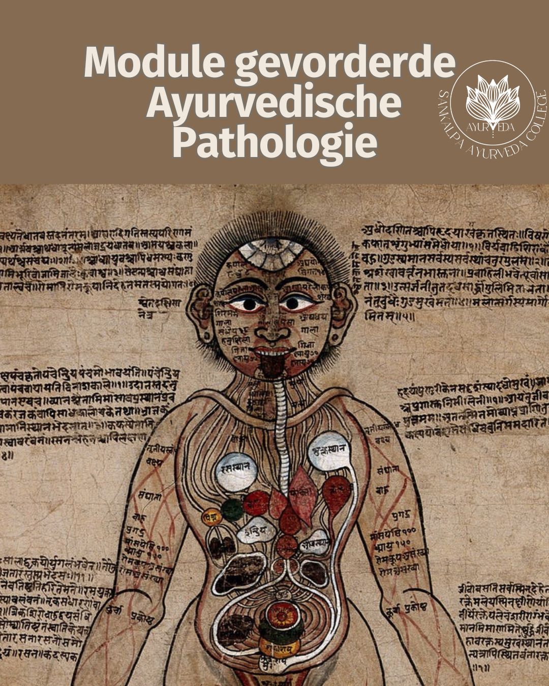 Gevorderde Ayurvedische Pathologie