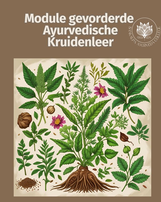 Gevorderde Ayurvedische Kruidenleer Gevorderde Ayurvedische Kruidenleer