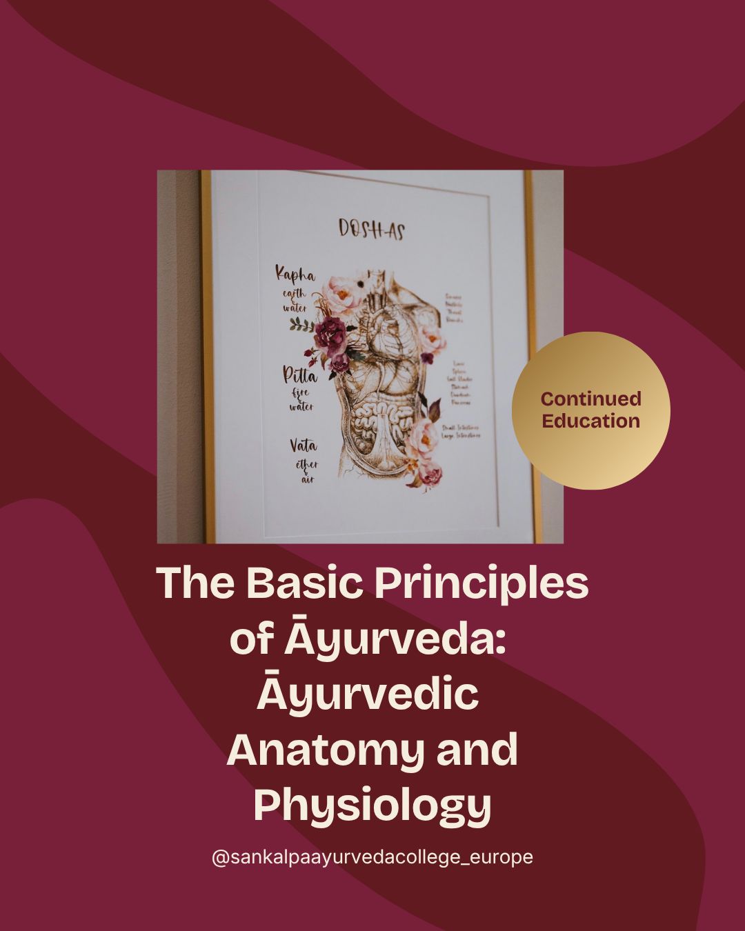 FAM- The Basic Principles of Āyurveda: Āyurvedic  Anatomy and Physiology