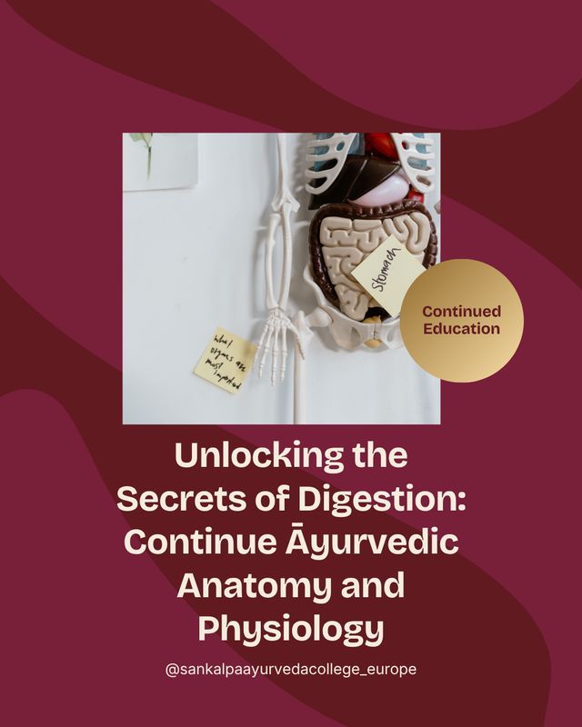 FAM 03 - Unlocking the Secrets of Digestion: Continue Āyurvedic Anatomy and Physiology - 11 & 12 December 2026 FAM 03 - Unlocking the Secrets of Digestion: Continue Āyurvedic Anatomy and Physiology - 11 & 12 December 2026