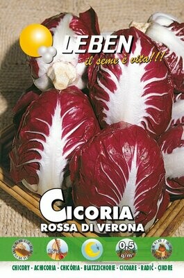 Cicoria Rossa Di Verona