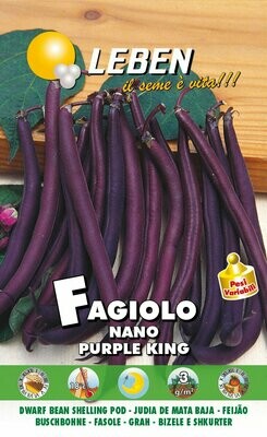 Fagiolo Nano Purple King