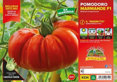Pomodoro - Marmande