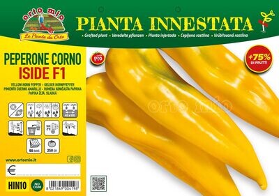 PEPERONE - Corno giallo var. inside