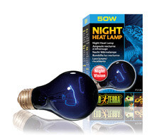 EXO TERRA- NIGHT LAMP 50W