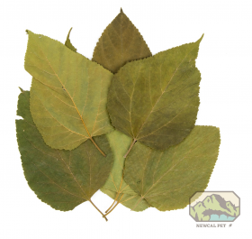 NEWCAL PET-MULBERRY LEAVES
