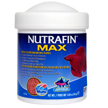 NUTRAFIN MAX BETTA COLOR ENCHANCING FLAKES 24G.