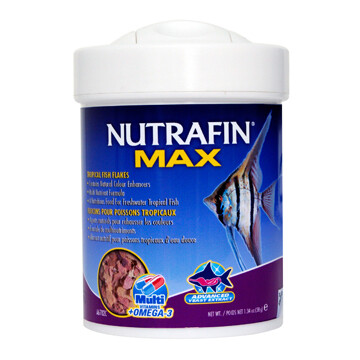 NUTRAFIN TROPICAL FISH FLAKES 38G.