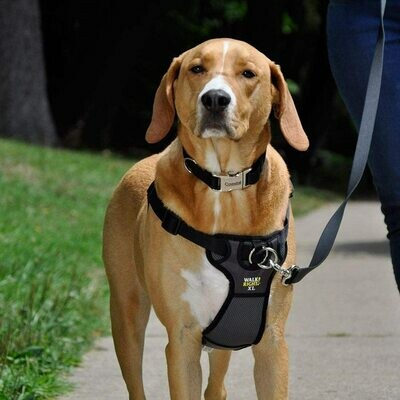 WALK RIGHT HARNESS BLK-XLG.