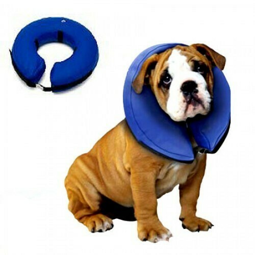 PAWISE INFLATABLE COLLAR SM.