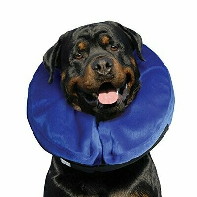 PAWISE INFLATABLE COLLAR LG.
