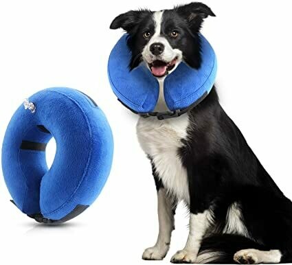 PAWISE INFLATABLE COLLAR MED.