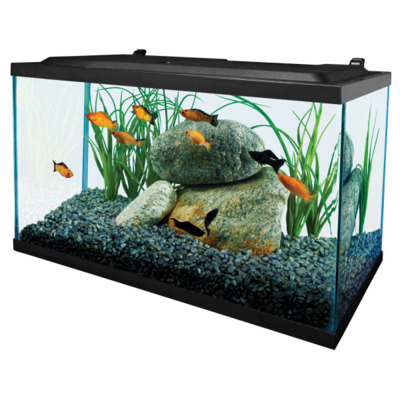 TETRA LED AQUARIUM KIT 10G