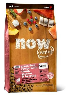 NOW DOG TROUT SALMON & HERRING  ADULT 1.6KG