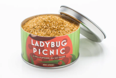 BBS Ladybug Picnic