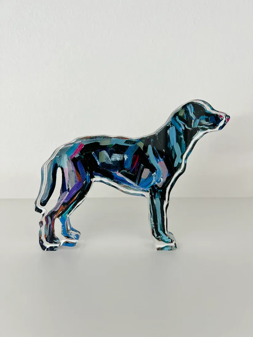 Lab-Black