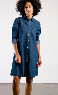 Kate Denim Swing Dress