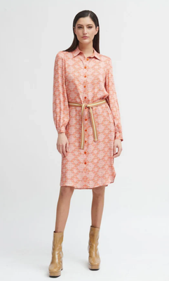 Misuri Print Dress