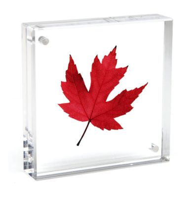 Canetti Acrylic Frames - 6 X 6