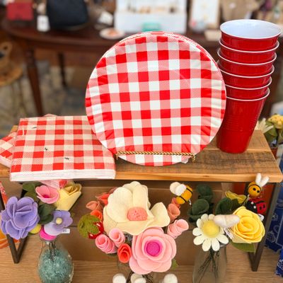 Red Gingham  6 Piece Melamine Picnic Set