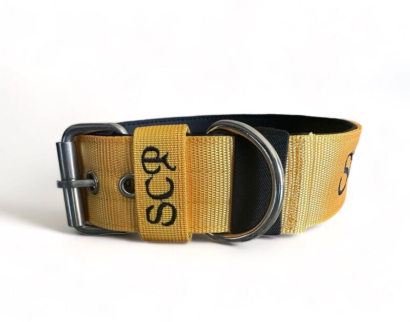 Yellow Collar & Leash