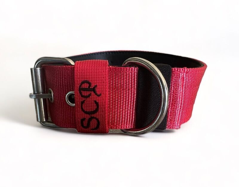 Red Collar & Leash