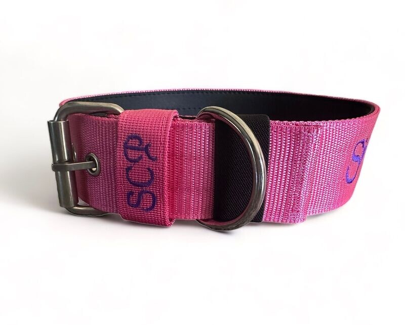 Magenta Collar & Leash