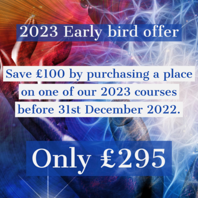 Energy Therapy Practitioner Training 2023 Early Bird Offer