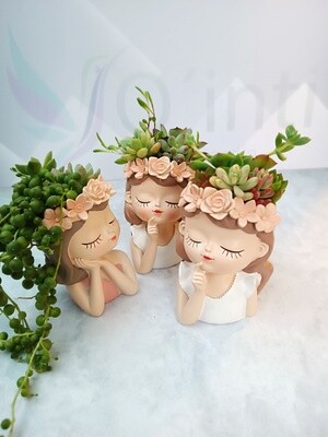 Souvenirs maceta Lady suculenta pintada incluye variedad de plantas suculentas
