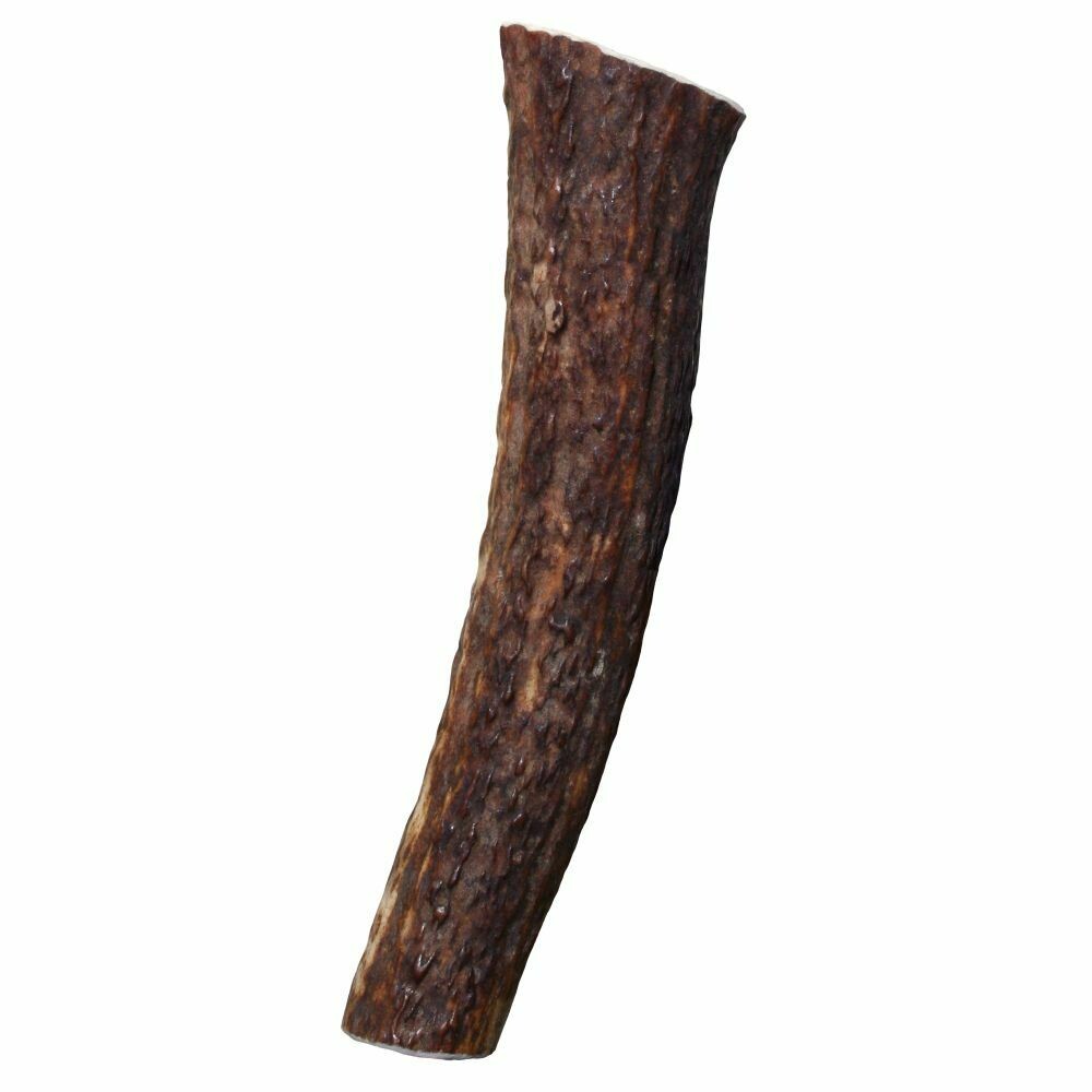 Kong Wild Antler Whole Small