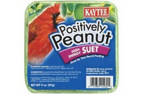 Kaytee Positively Peanut Suet 11oz