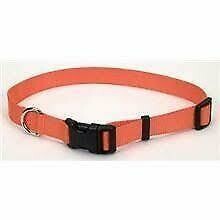 Coastal Adjustable Nylon Dog Collar with Plastic Sunset Orange 3/4X20in