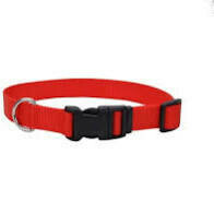 Coastal Adjustable Nylon Dog Collar with Plastic Buckle Red 1X26in