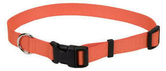 Coastal Adjustable Nylon Dog Collar with Plastic Buckle Sunset Orange 5/8X14in