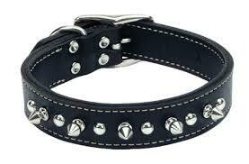 Coastal Circle T Oak Tanned Leather Double-Ply Spiked Dog Collar Black 1X20in
