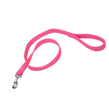 Coastal Double-Ply Nylon Dog Leash Neon Pink 1X6ft