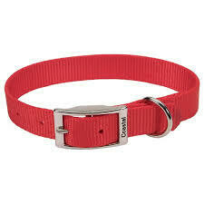 Coastal Single-Ply Nylon Dog Collar Red 5/8X14in