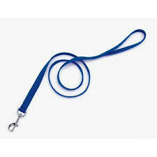 Coastal Single-Ply Nylon Dog Leash Blue 3/4X6ft