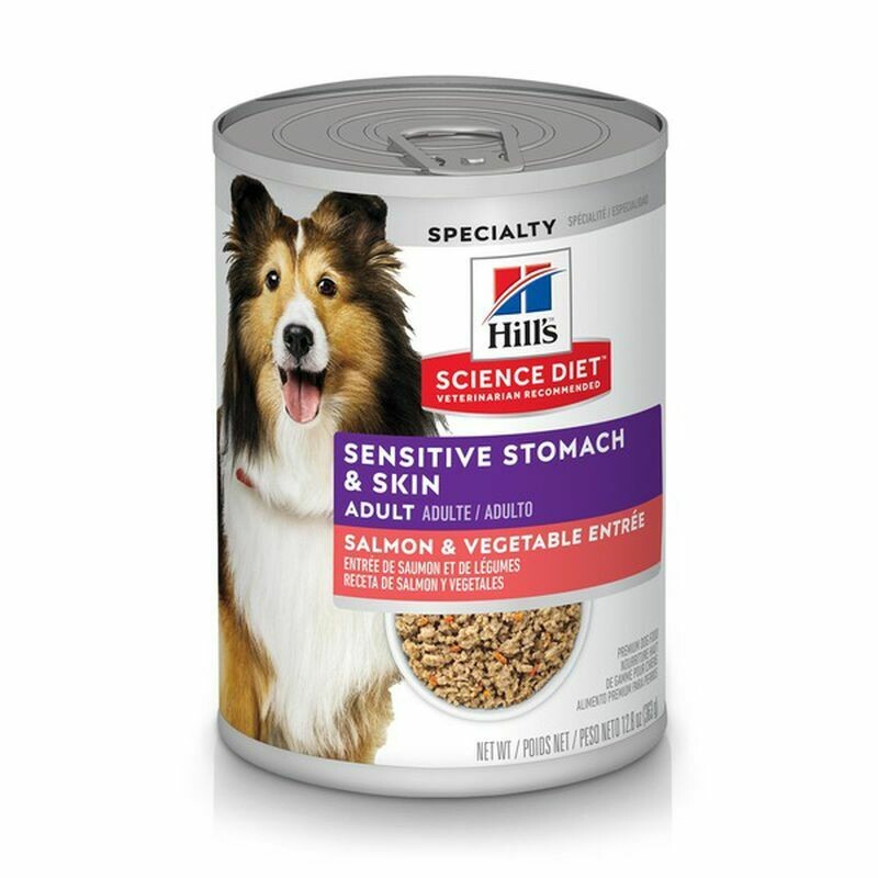 SCIENCE DIET CANNED DOG FOOD SALMON 12.8OZ