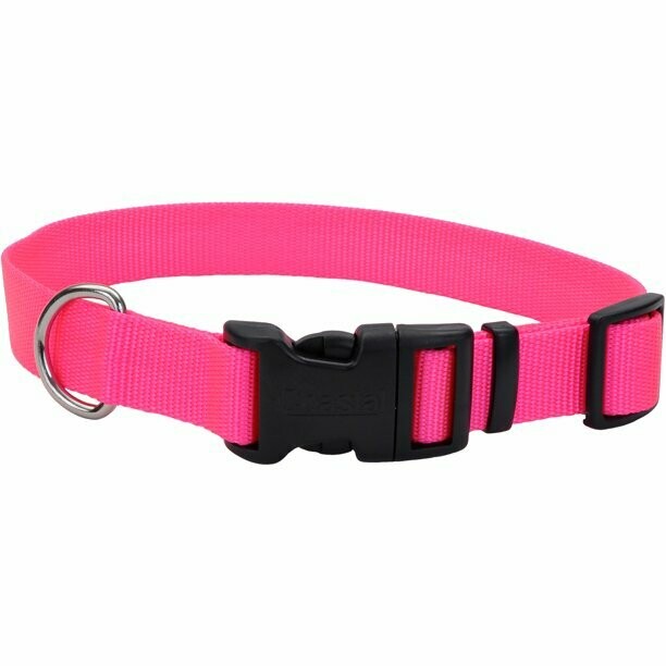 Coastal Adjustable Nylon Dog Collar with Plastic Buckle Neon Pink 3/4X14-20in