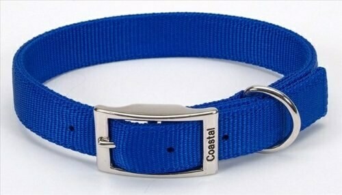 Coastal Double-Ply Nylon Dog Collar Blue 1X24in