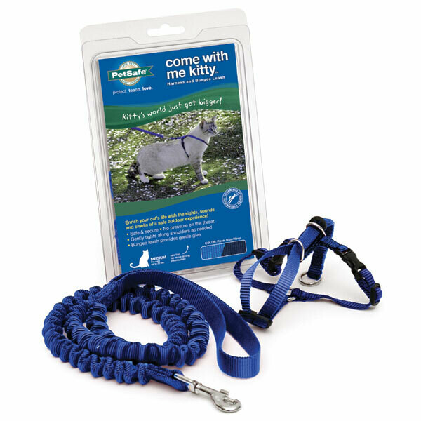 Premier Come With Me Kitty Harness & Bungee Leash Medium Royal