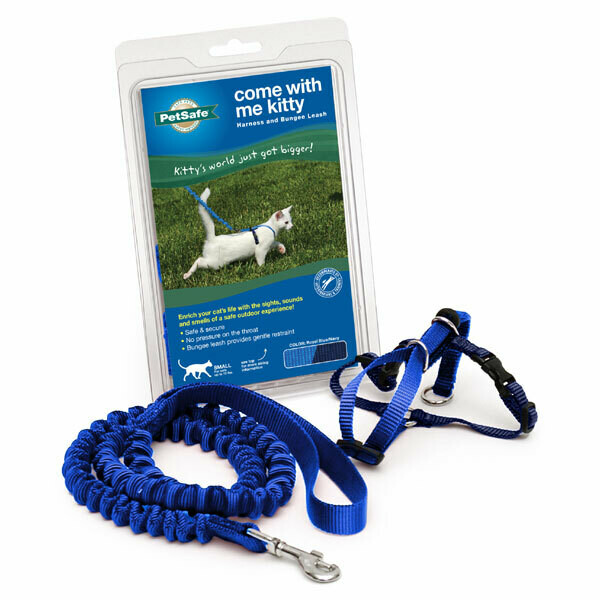 Premier Come With Me Kitty Harness & Bungee Leash Kitten/Small Royal